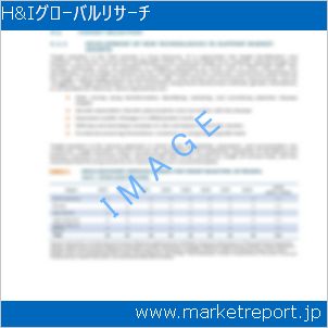 市場と産業調査レポートのイメージ
